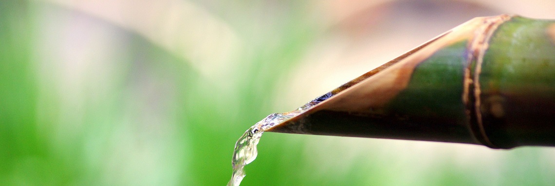 bamboo irrigation