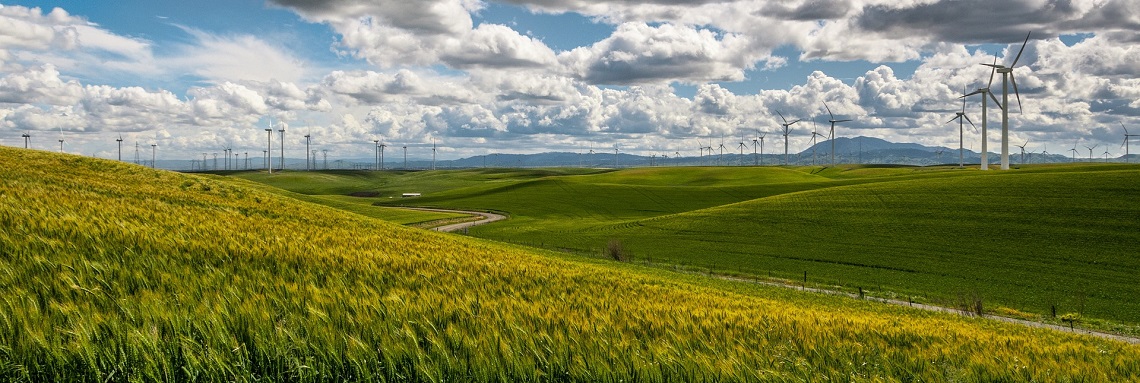 renewable energy landscapes